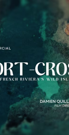 Port-Cros Island Commercial